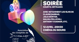 Soirée Courts métrages le 12 avril au Cinéma du Bourg